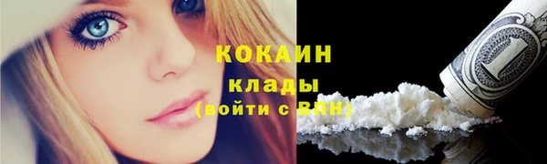 a pvp Аркадак