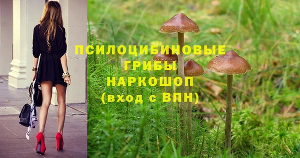 СК Армянск