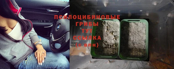 a pvp Аркадак